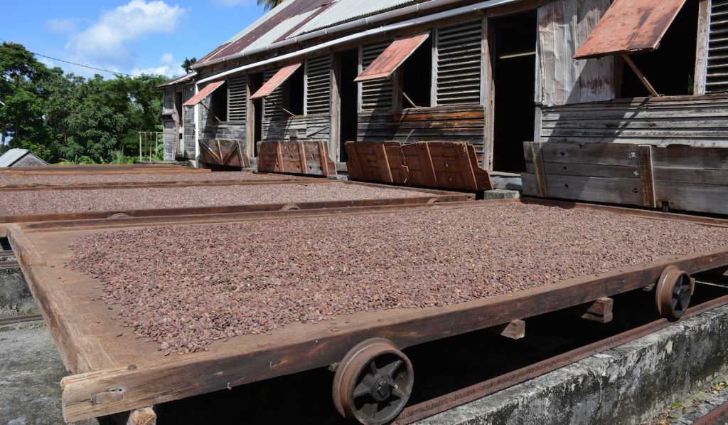 grenada spice plantation