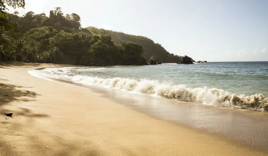 trinidad and tobago beach