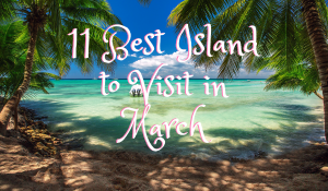 Resort with two coconut trees and its shadow with text 11 Best Islands to Visit in March