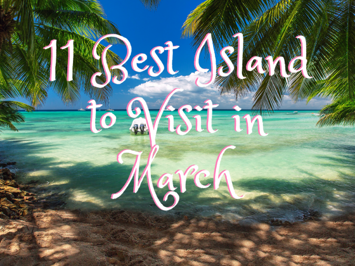 Resort with two coconut trees and its shadow with text 11 Best Islands to Visit in March