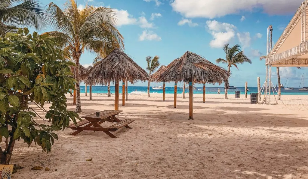 a beach in barbados