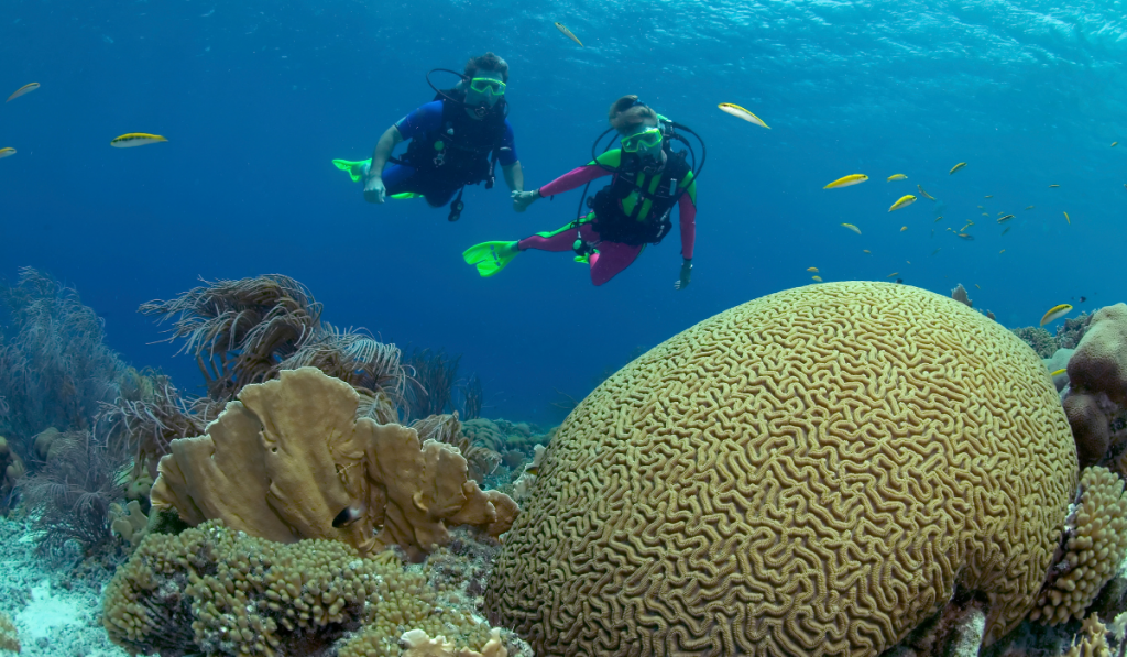 Pair of Scuba divers on a shallow reef in Klein Bonaire. ee220330