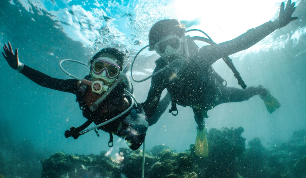 Underwater shot of two people diving ee220330