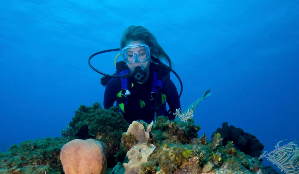 woman scuba diving while taking picture in the corals ee220330