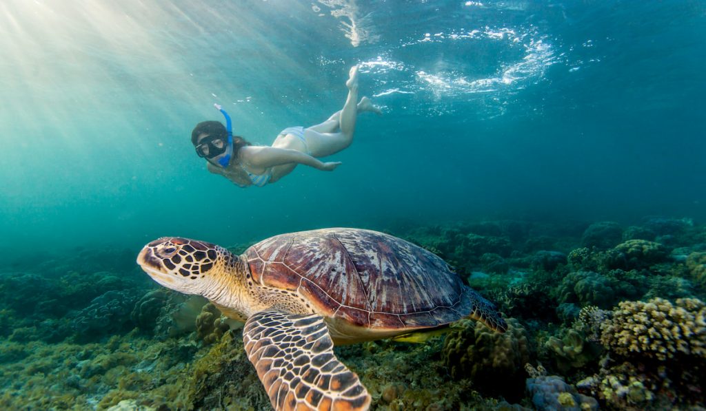 woman snorkeling with sea turtle