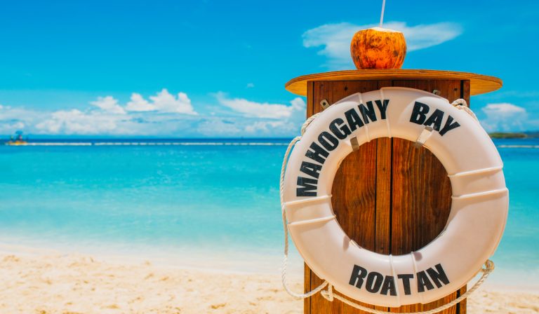Can You Snorkel at Mahogany Bay?