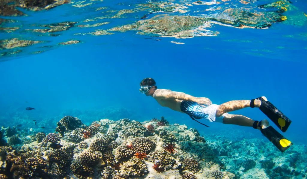 man snorkeling underwater