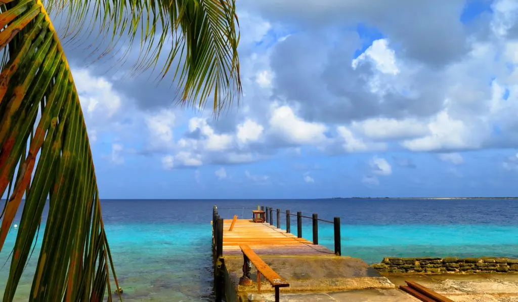 maya key resort palm tree wood bridge clear blue sky 