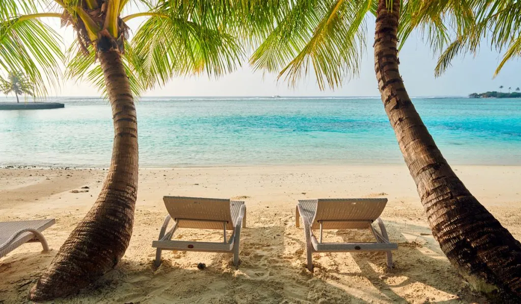 tropical beach loungers palm trees clear blue water