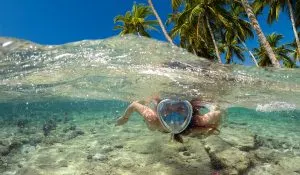 woman snorkeling underwater with coconut trees on the background