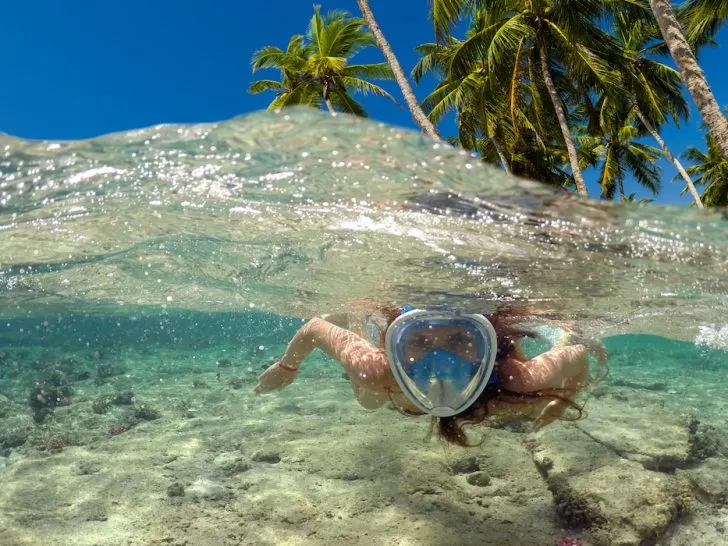 woman snorkeling underwater with coconut trees on the background