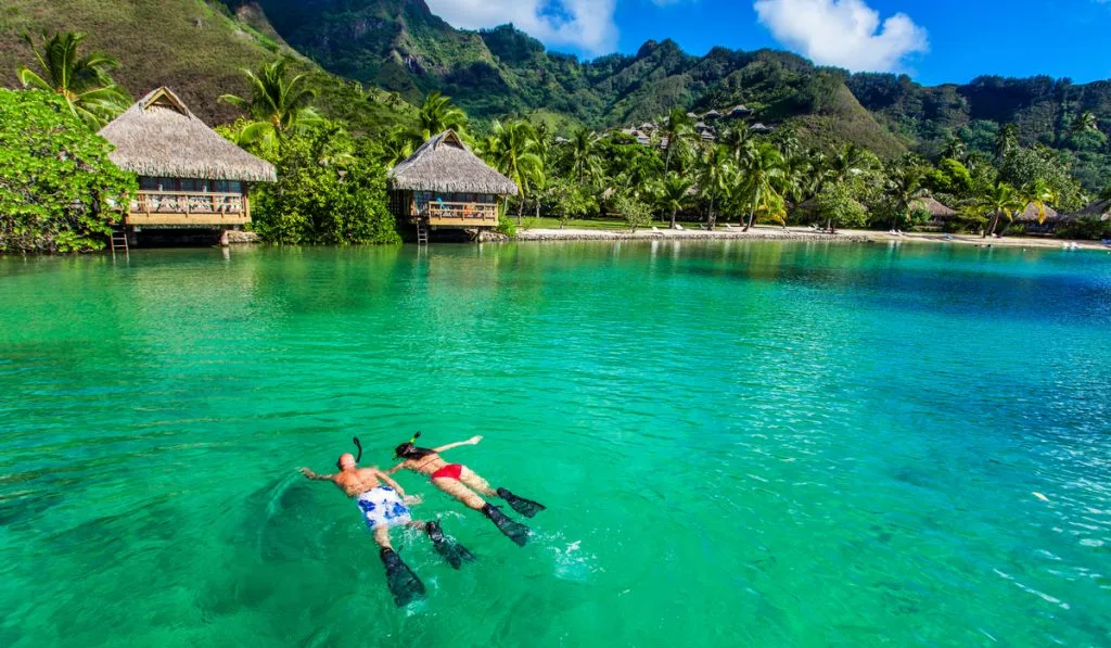 young couple snorkeling over reef